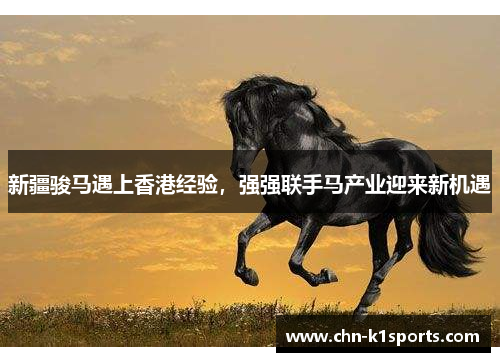 新疆骏马遇上香港经验，强强联手马产业迎来新机遇